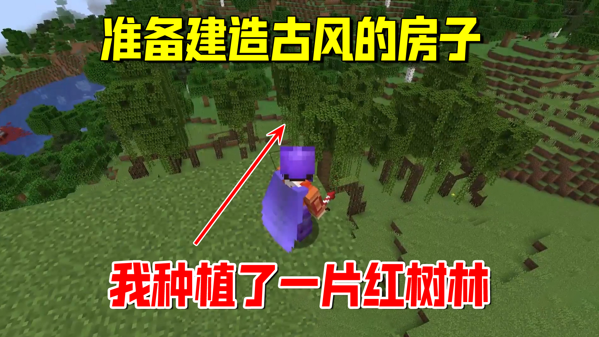 我的世界1.19联机53：准备建造古风的房子，我种植了一片红树林#我的世界#沙盒游戏