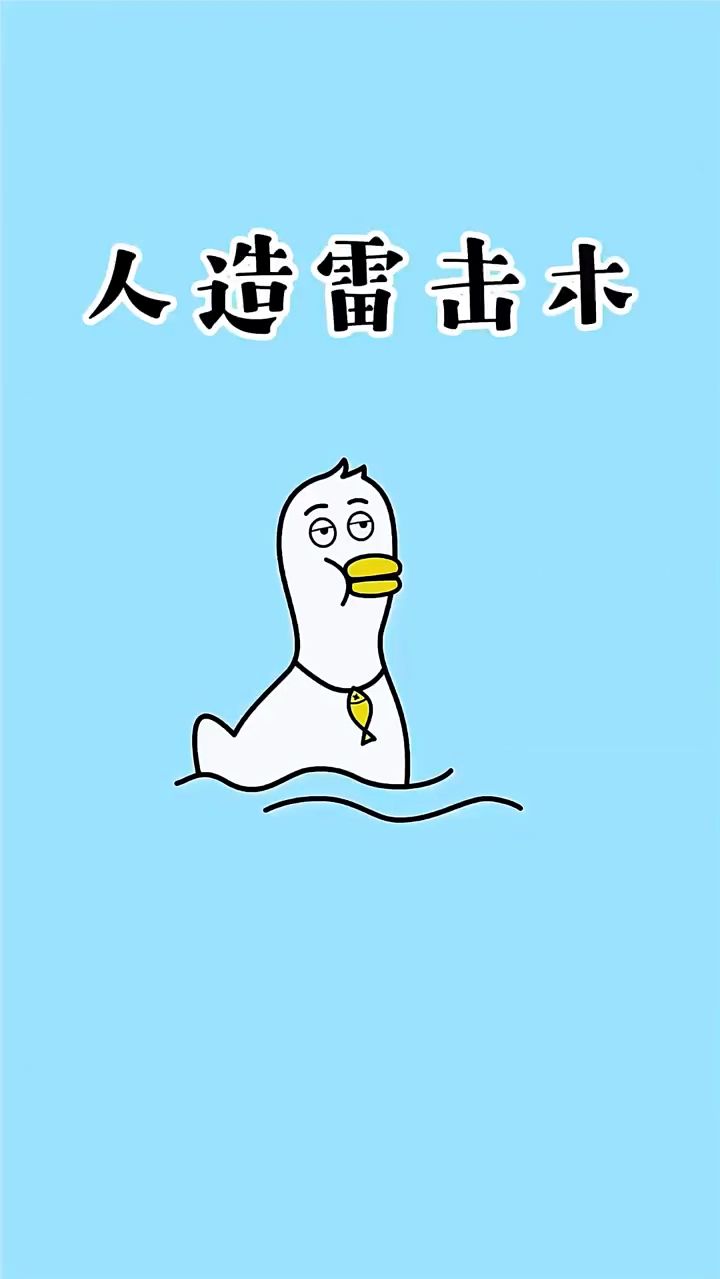 雷击木你见过吗