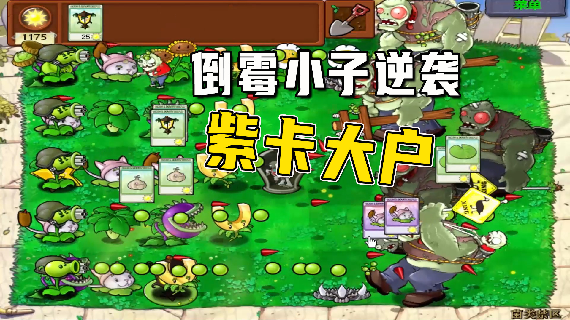 植物大战僵尸：菌类禁区（下），运气好到自己都害怕，紫卡大户啊#植物大战僵尸#单机游戏