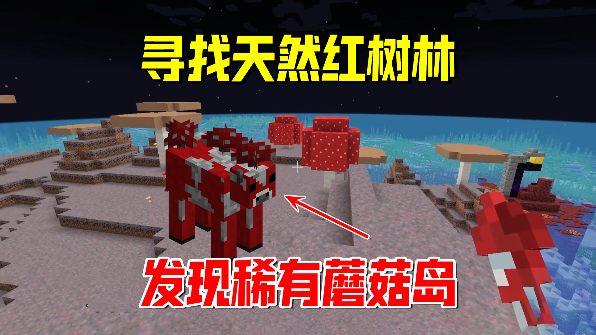 我的世界1.19联机54：寻找天然红树林，我发现一个稀有的蘑菇岛#我的世界#沙盒游戏