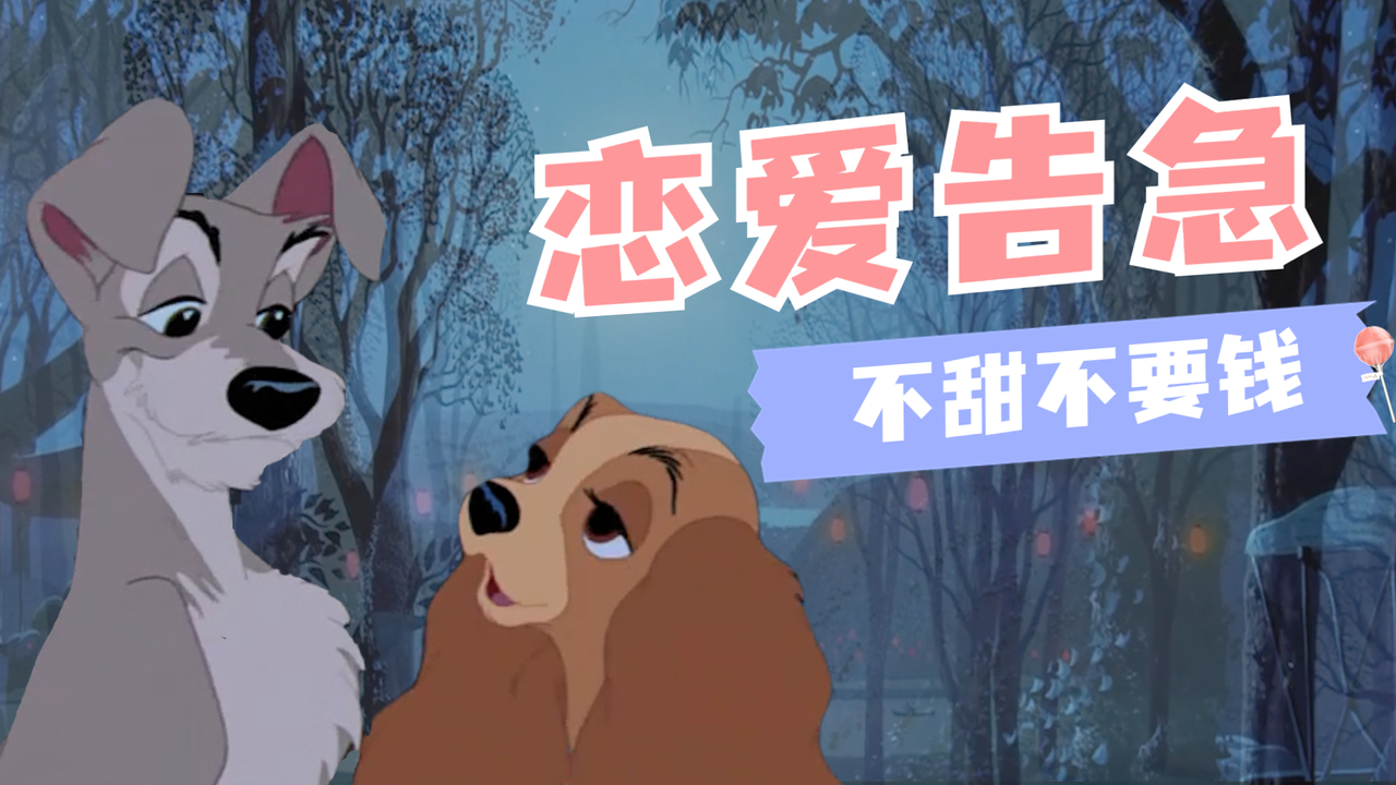 小姐与流浪汉：被两只狗的爱情甜到啦，一起来感受它们的罗曼蒂克