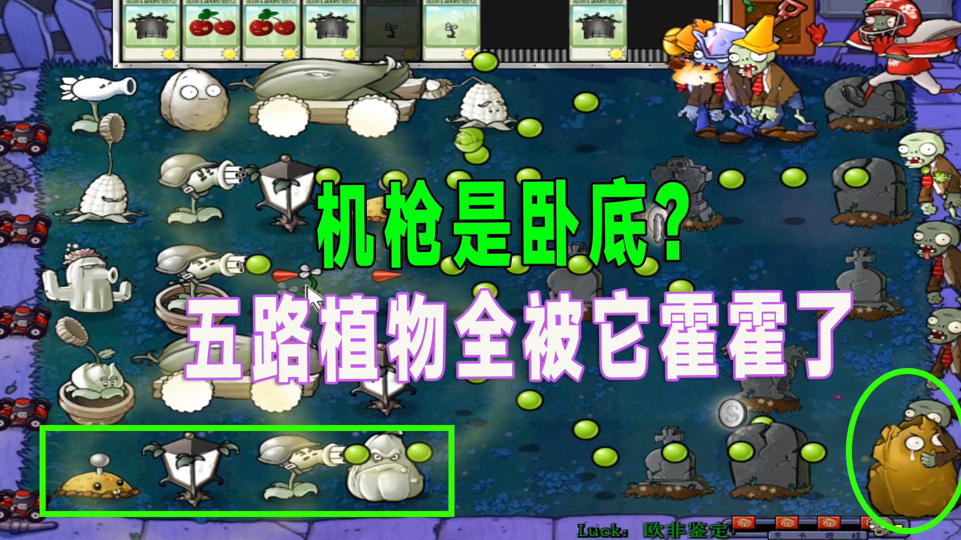 植物大战僵尸：九月的运气怎么样？我用一局欧非鉴定来说话#植物大战僵尸