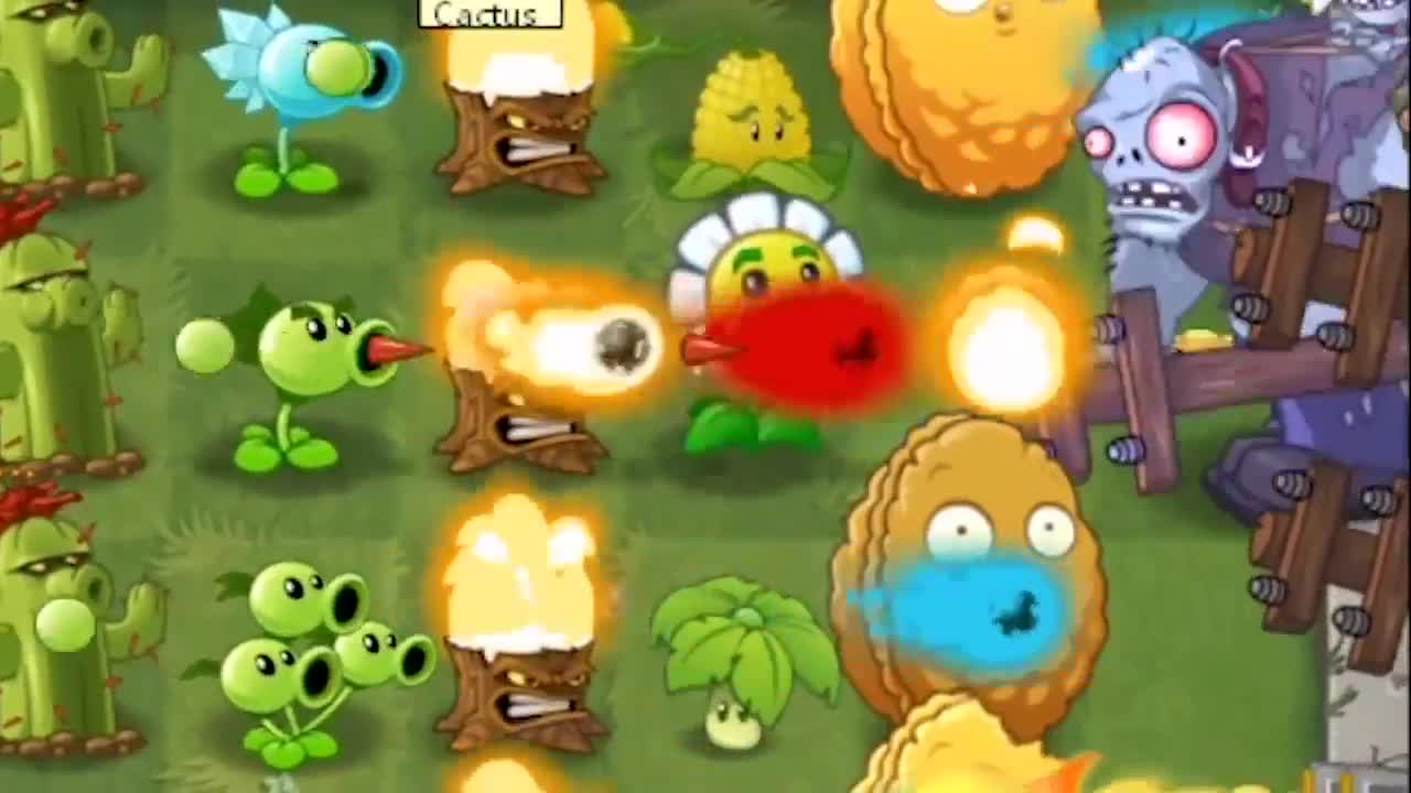 植物大战僵尸：跟巨人一样大的坚果你见过吗？