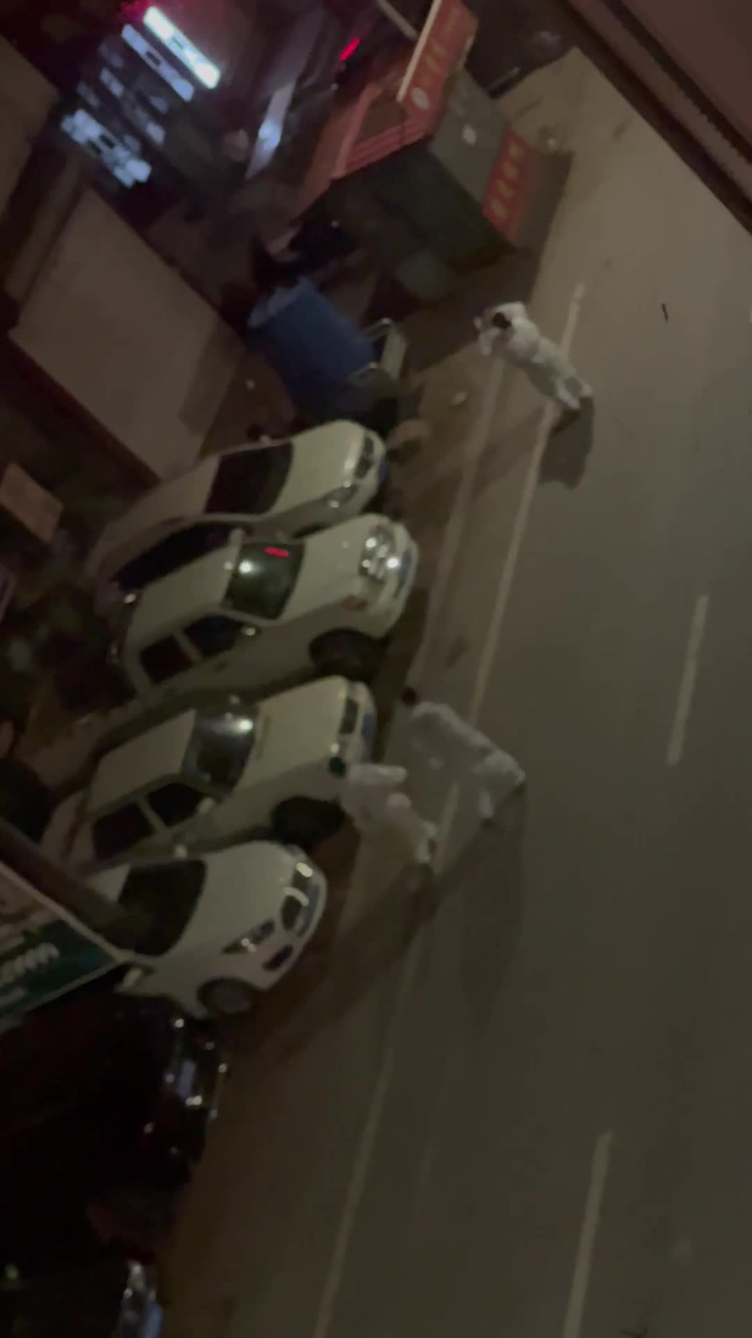 大白辛苦了