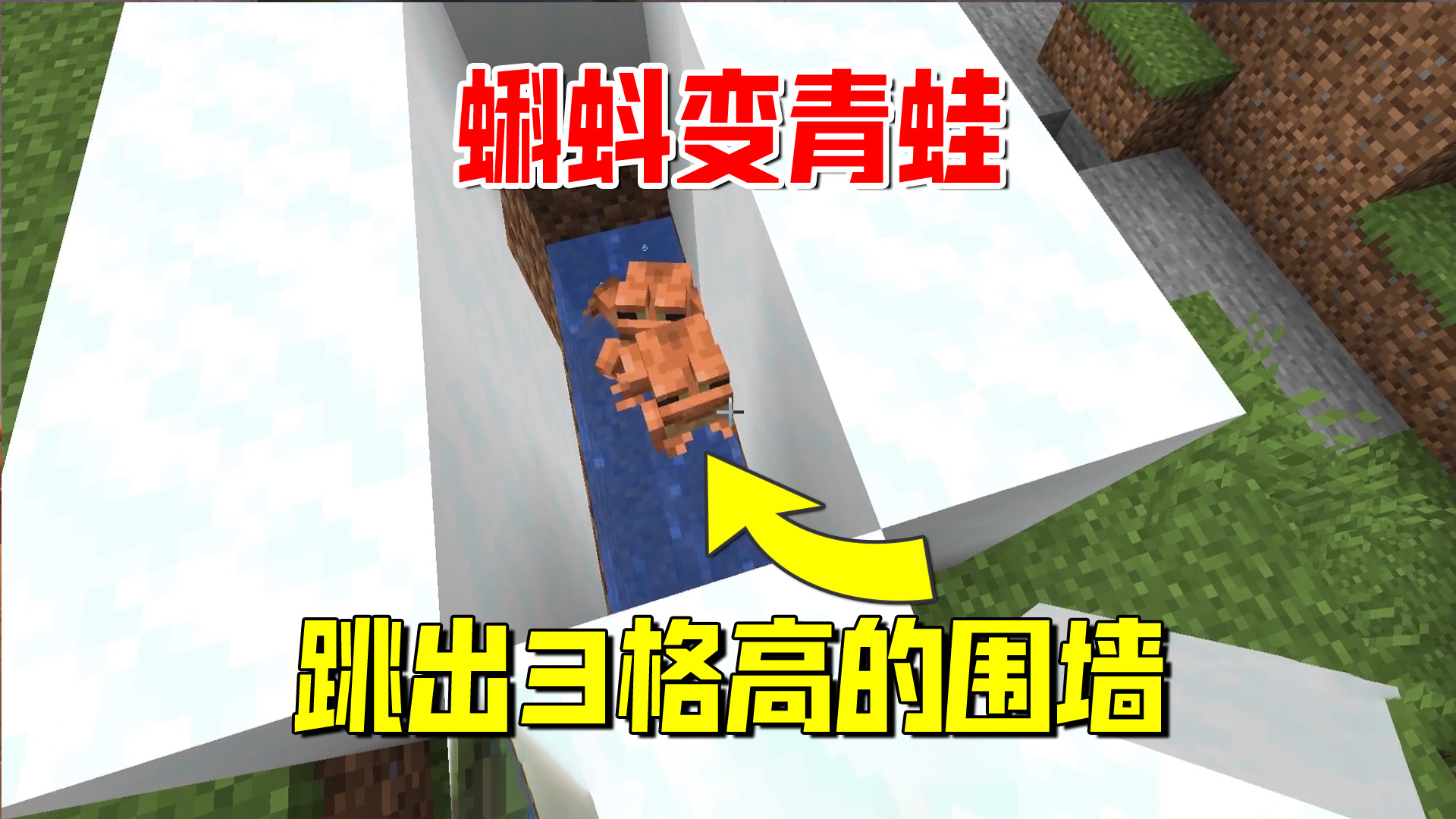 我的世界1.19联机56：运输蝌蚪回家，我培养出两只橙色的青蛙#我的世界#沙盒游戏