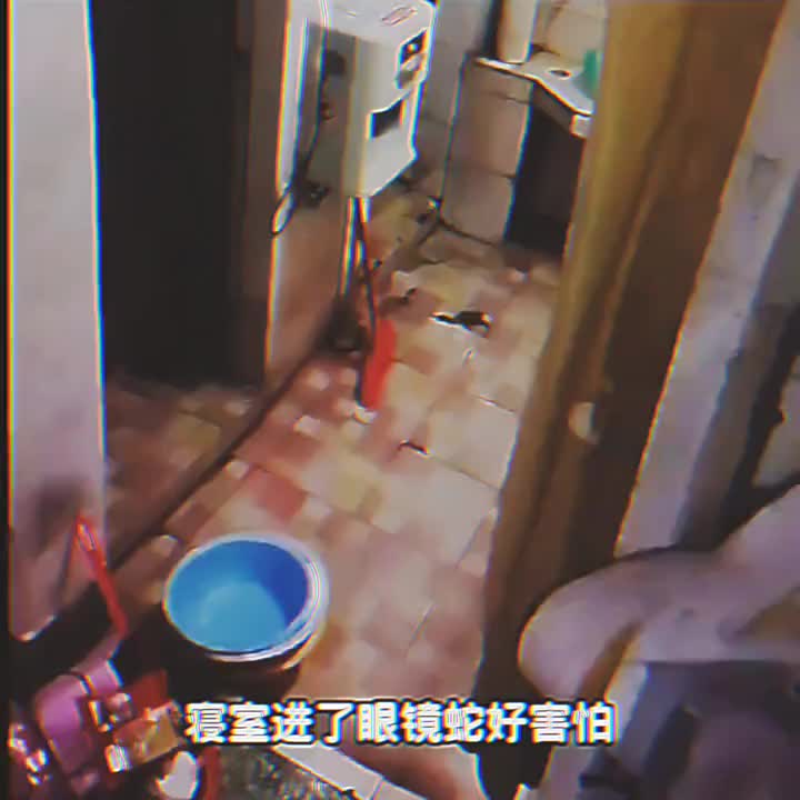 眼镜：当是我害怕级了！