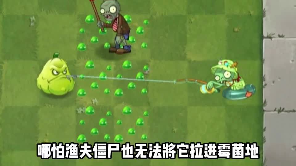 植物大战僵尸2：当植物进了霉菌地，会发生什么？