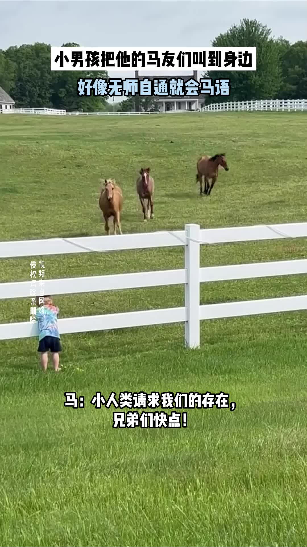 “小人类请求我们的存在，兄弟们快点！”
