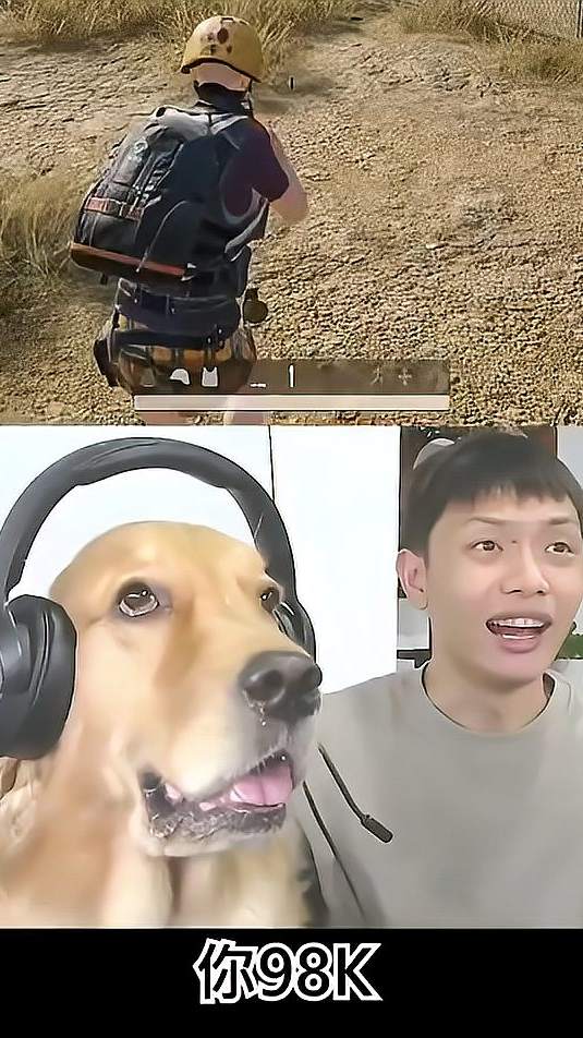 一发入魂一箭双雕