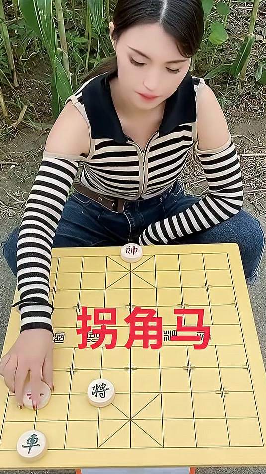 象棋残局之拐角马……