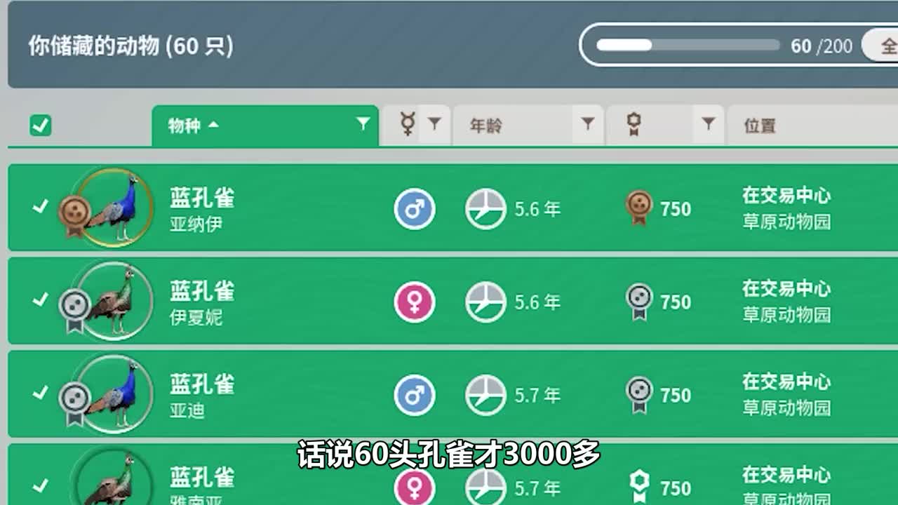 给大熊猫搬新家了，比之前的好十倍！游戏动物园之星建造