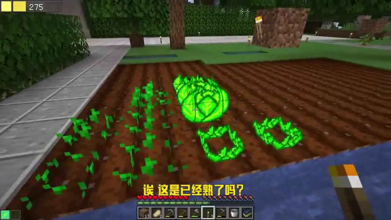 戴夫的MC冒险！树苗穿过土块长大？这是bug！