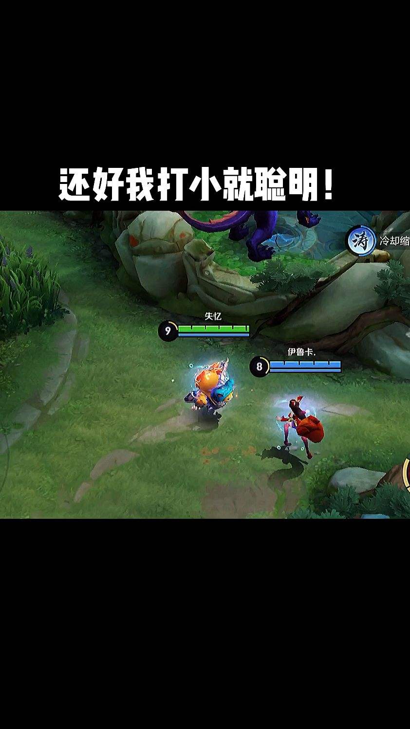 我打小就聪明还好