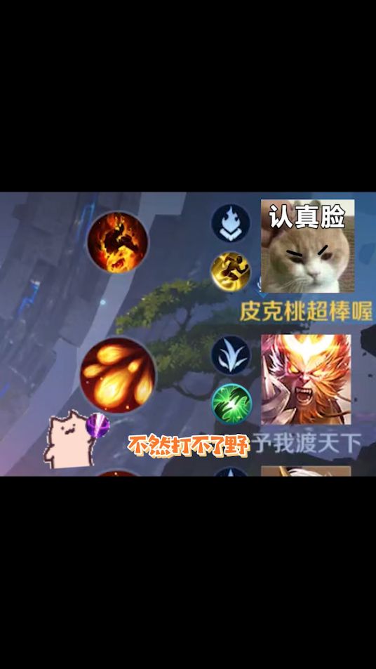 这就是带飞的感觉吗？简直不要太享受！