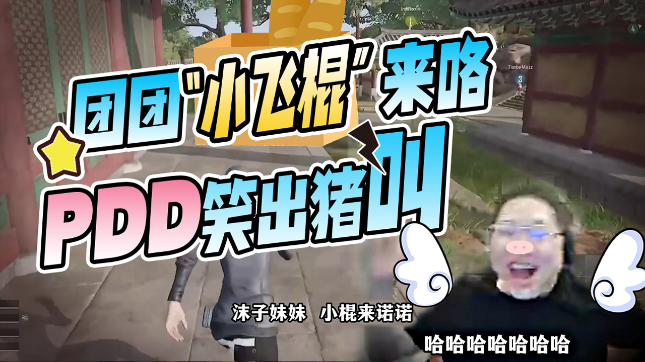 团团小飞棍来咯\-\-PDD笑出猪叫#幽默短剧#有颜有趣