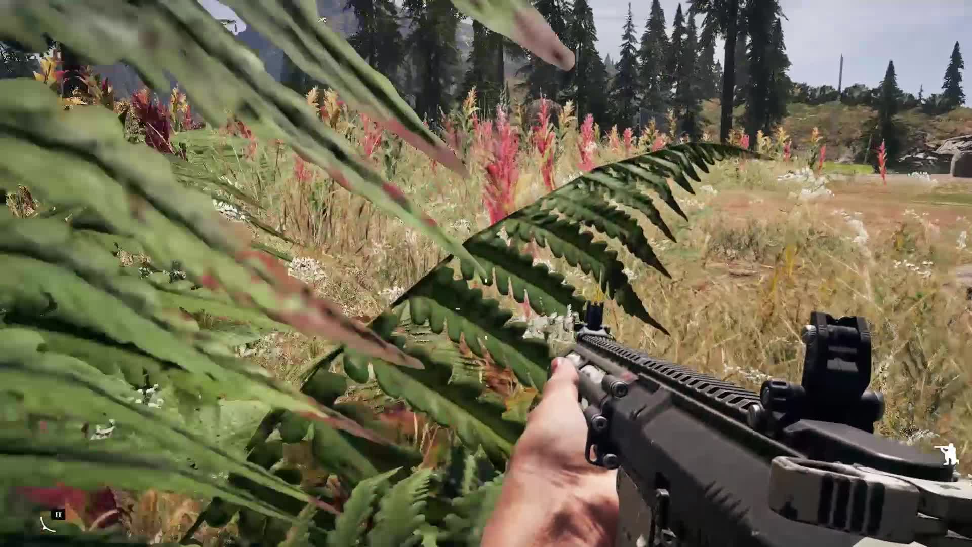 我竟然想上一辆车？臭鼬都敢来打我！这岛上是真的处处危机！