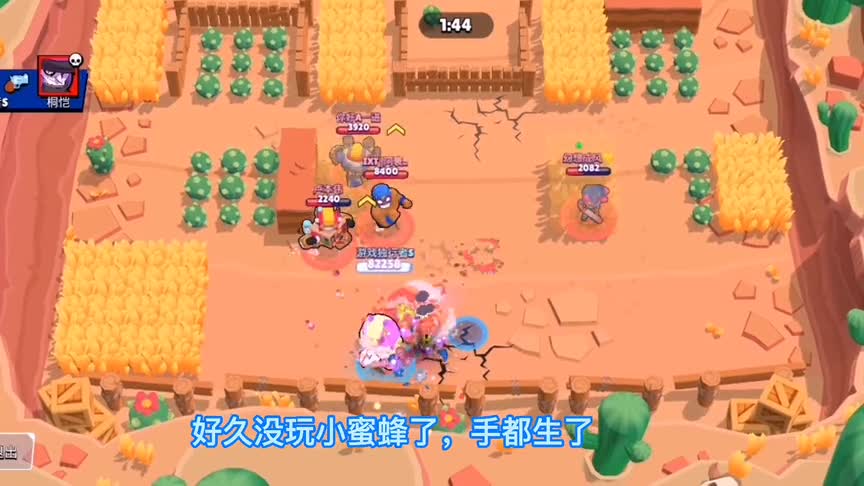 荒野乱斗：天选之战想要一打五，选小蜜蜂就对了！