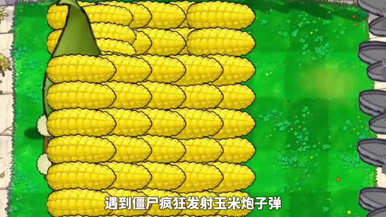 植物大战僵尸：玉米进化史：最强的玉米机甲还能升级！？