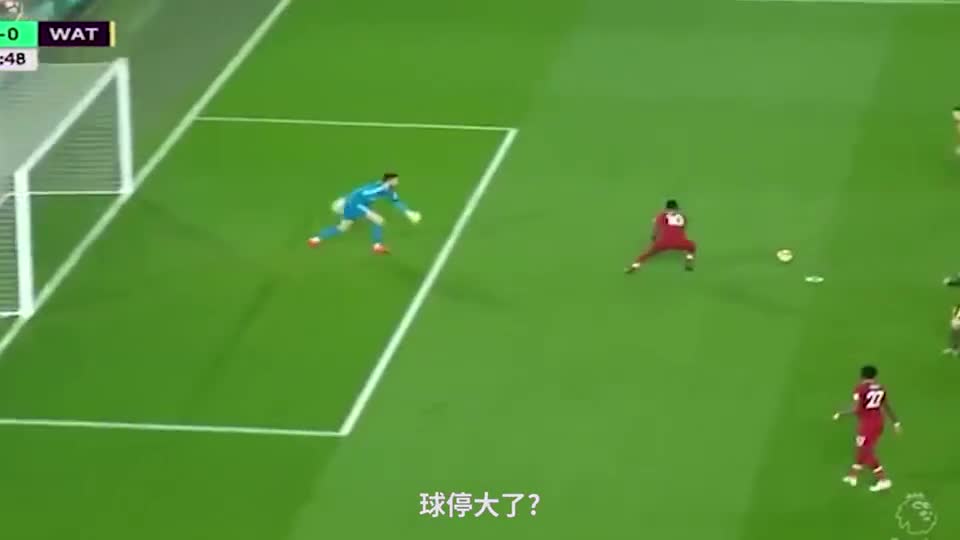 坐着看，正常操作！