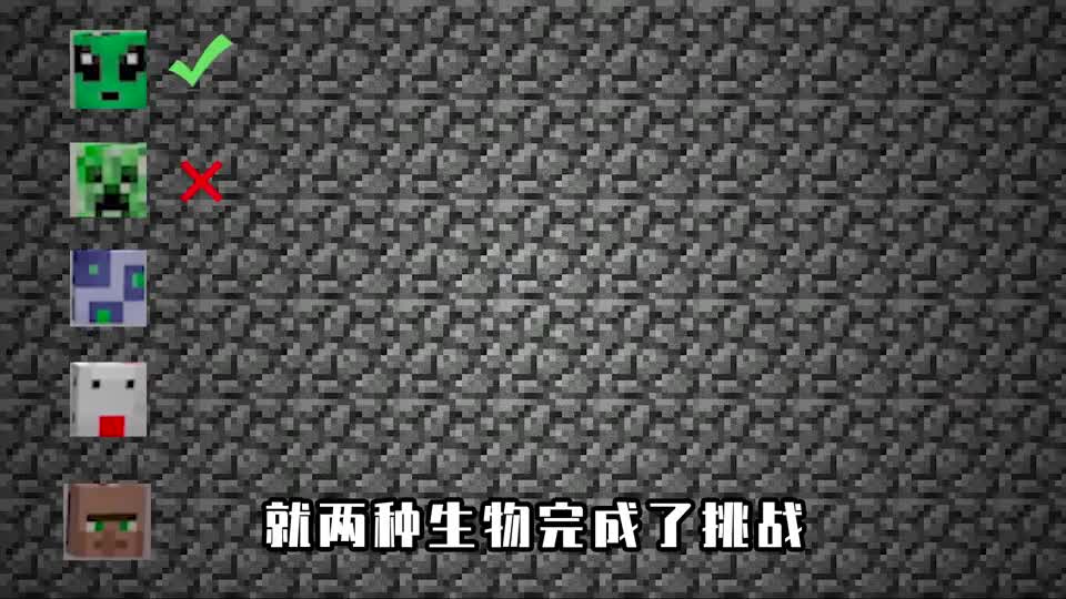 我的世界：给怪物添加智商，小鸡长的太美，坐热气球通关
