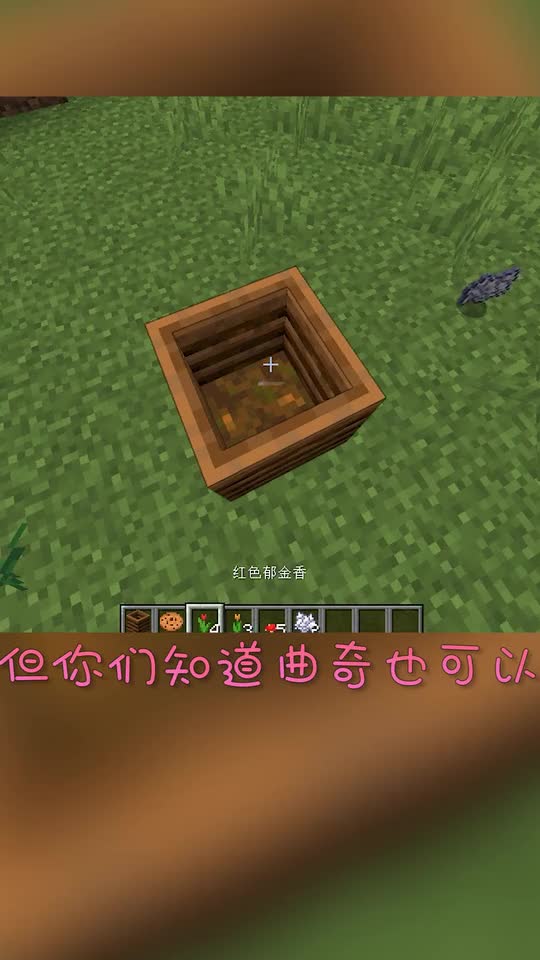 我的世界：MC物品冷知识，oh我的小饼干！
