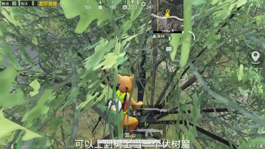 海岛竟能上树 这谁能发现得了