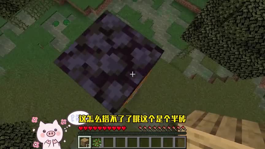 泥土变钻石！放置的方块变成随机方块，该如何生存！