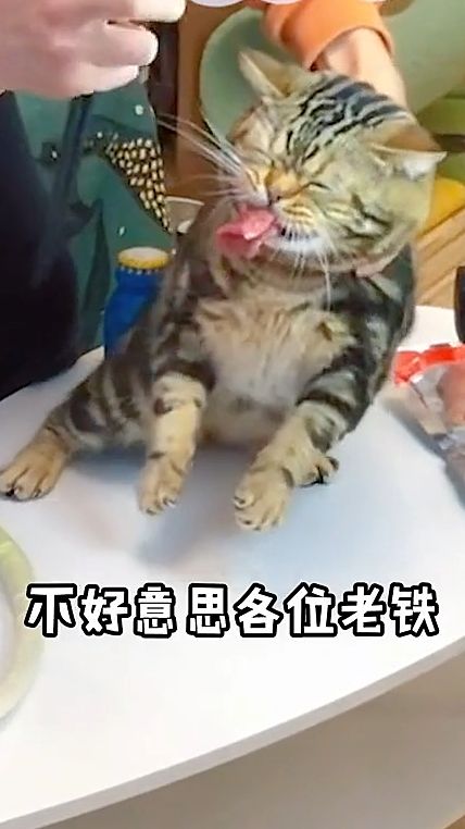 想好好直个播怎么就这么难？