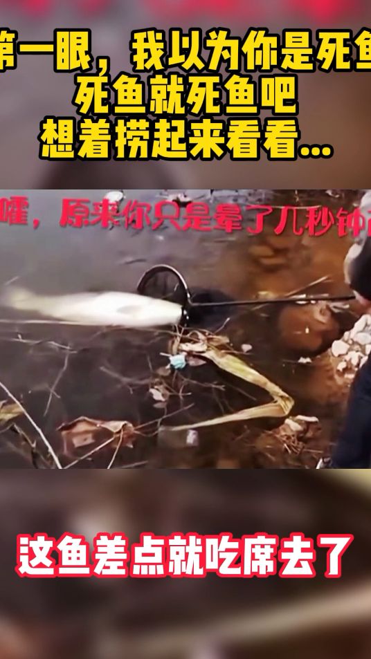 不要扣鳃……哦豁，原来你只是晕了几秒钟而已！