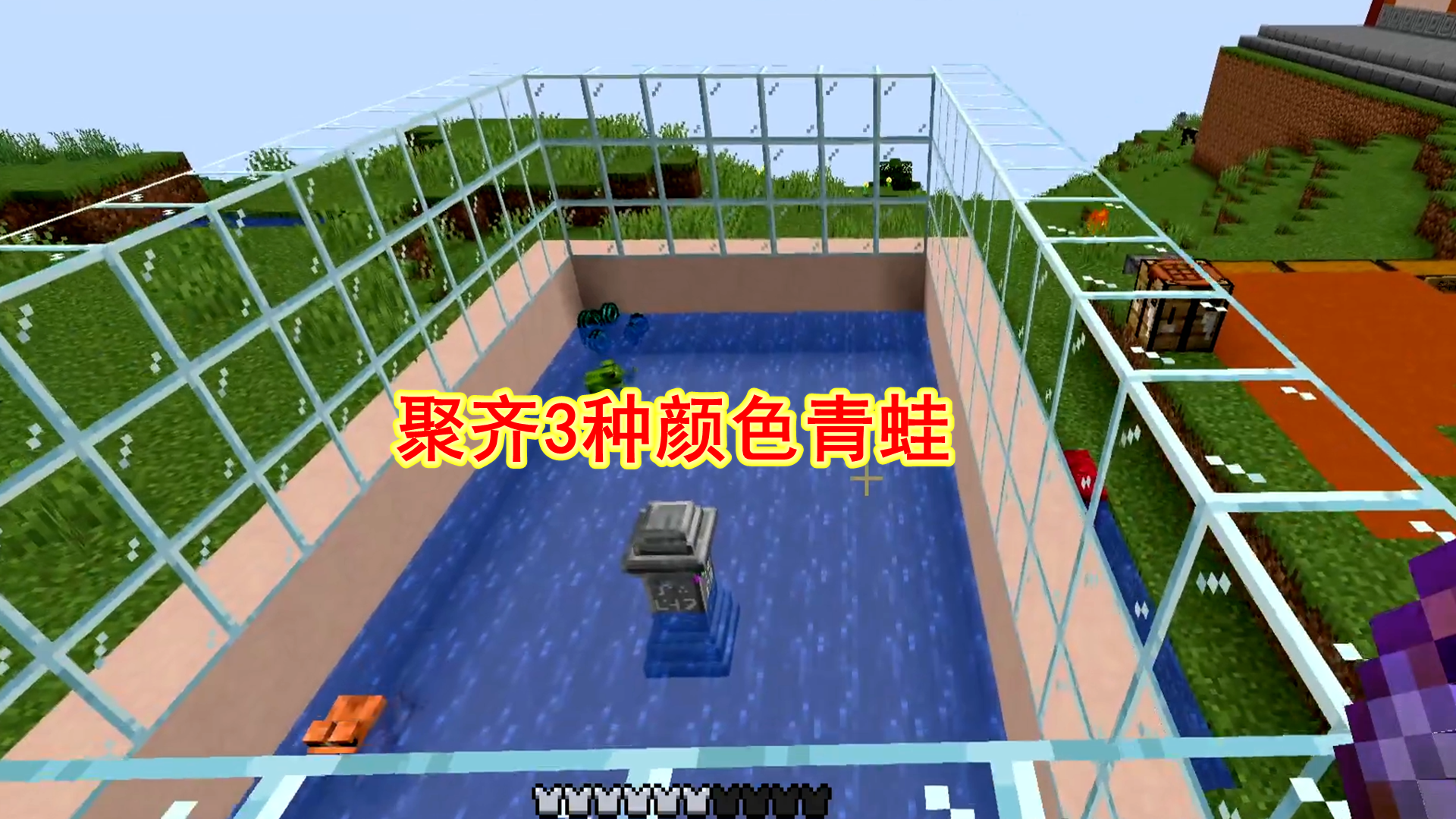 我的世界1.19联机71：聚齐3种颜色的青蛙，我起了3个有趣的名字#我的世界#沙盒游戏