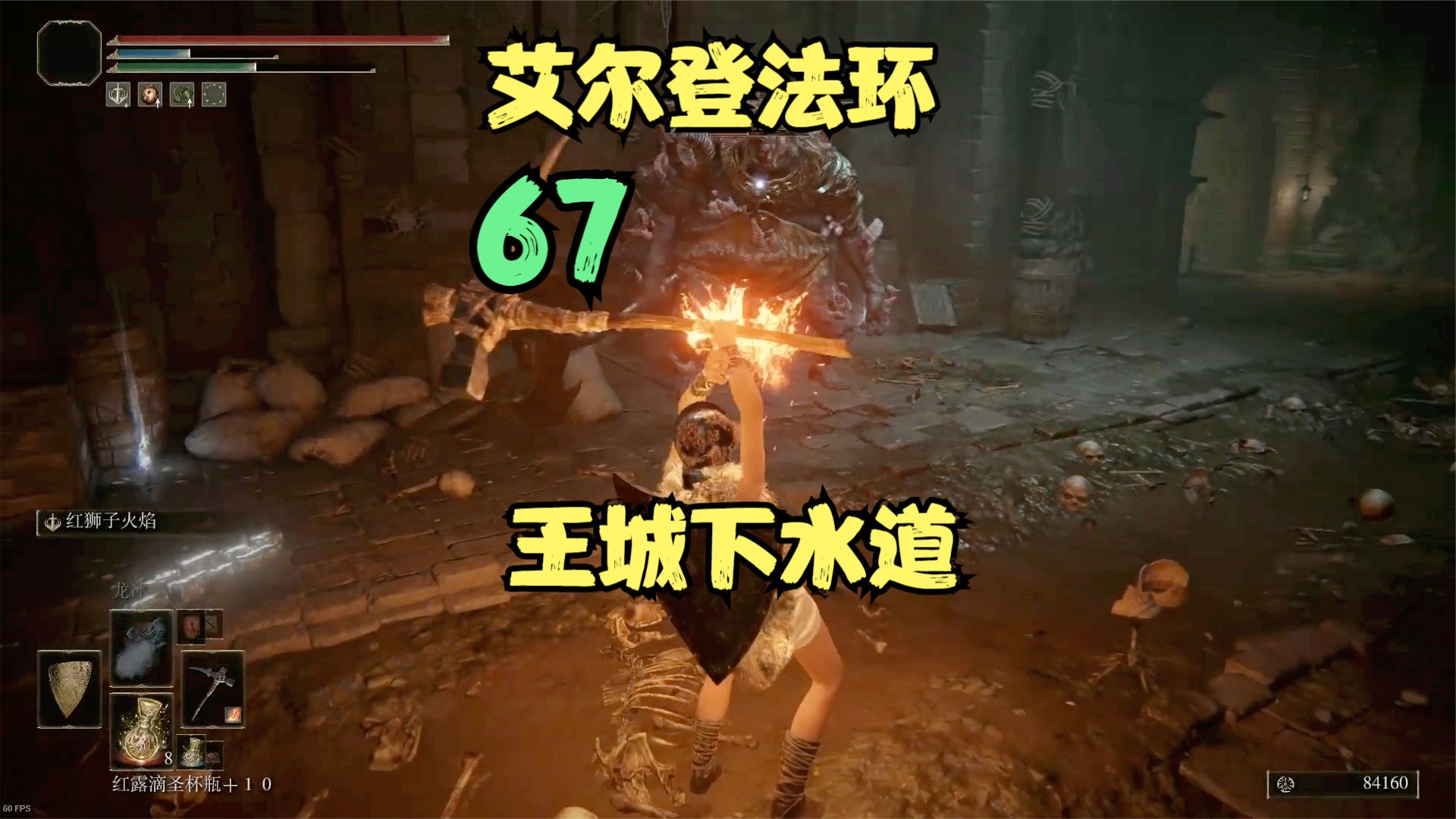 艾尔登法环67，寻找食粪者#艾尔登法环#单机游戏