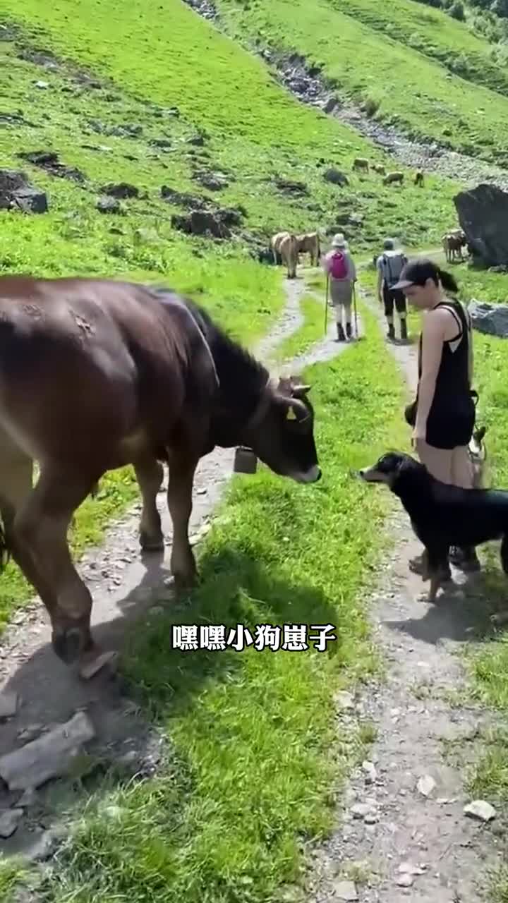 幸好我进化的快，不然砸门的可能是我