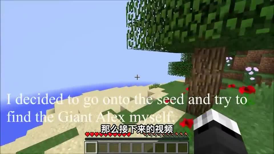 我的世界：MC巨型艾利克斯Alex，你们见过吗？#我的世界