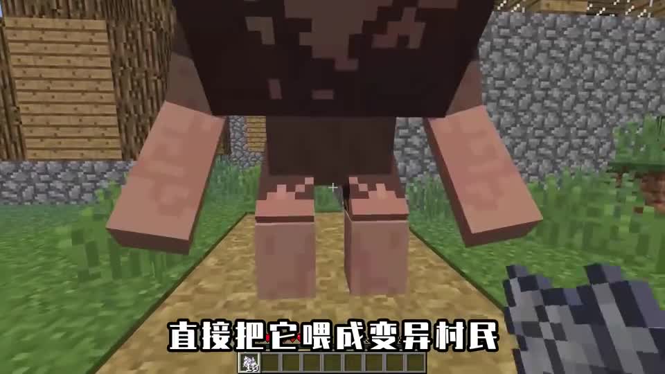 我的世界：青蛙吃村民拉了一地绿宝石，玩家纠结到底捡还是不不捡
