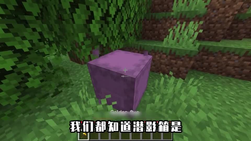 我的世界：儿童版的MC？小猪满脸的笑容，绵羊像是没睡醒
