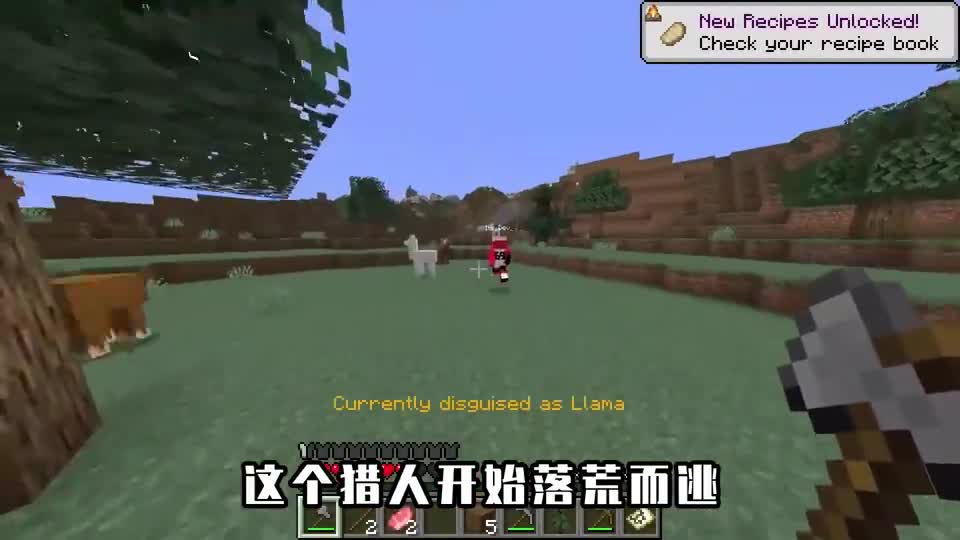 我的世界：玩家可以变成任意生物？变成羊驼，反过来追杀猎人