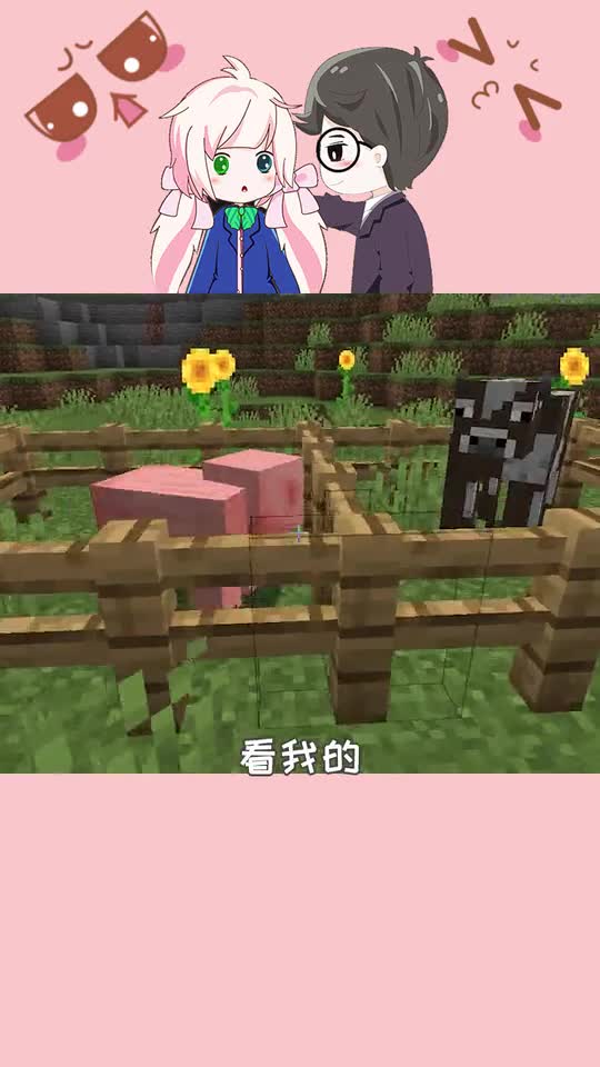 我的世界：肉和肉是不能一概而论的！MC肉类区别