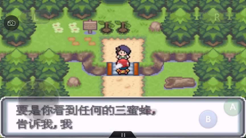 口袋妖怪白金光02，三蜜蜂事件！我见到金哥了