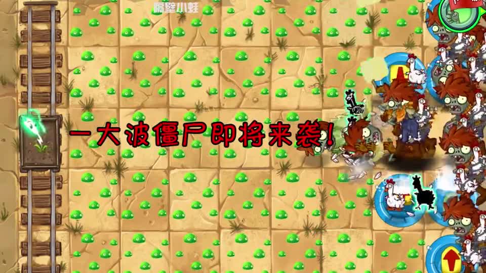 植物大战僵尸：卷心菜投手是白卡之光？小蛙直呼上当了！