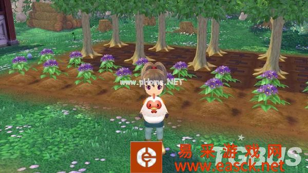 加强版《牧场物语 Welcome! 美丽人生》新图公开