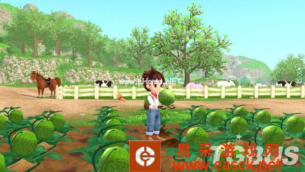 加强版《牧场物语 Welcome! 美丽人生》新图公开