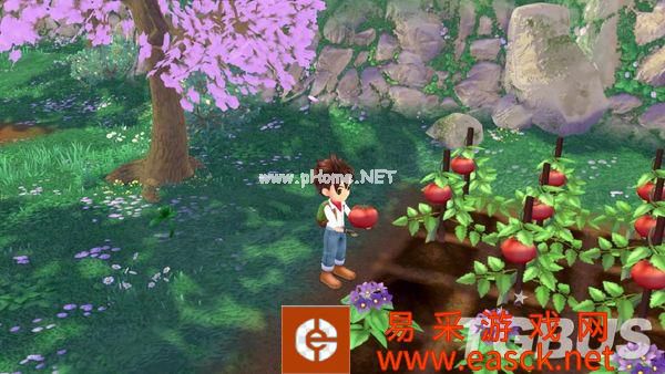 加强版《牧场物语 Welcome! 美丽人生》新图公开