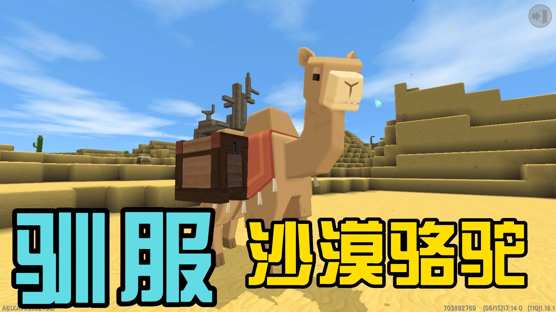 迷你世界沙漠：骆驼的秘密，怎么驯服骆驼
