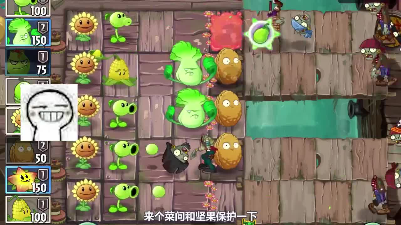 植物大战僵尸：坚果保护岩浆，戴夫直称内行！