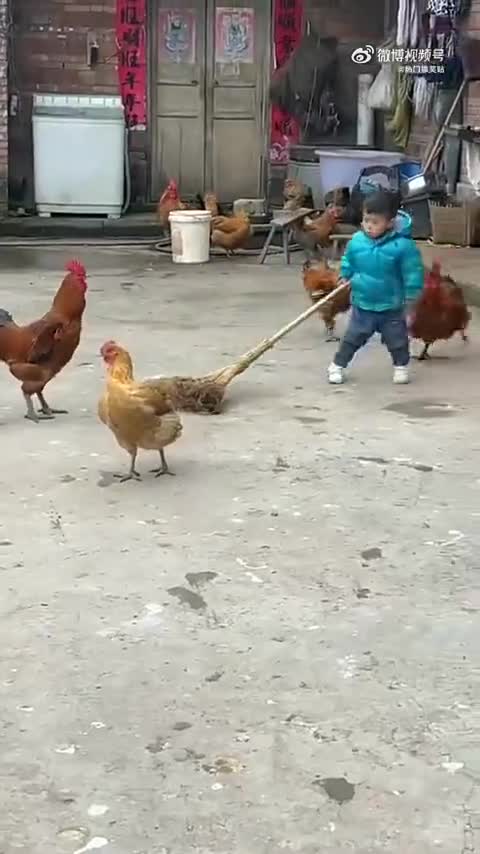 我去你竟然搞偷袭，玩不起，等会把你变成辣子鸡