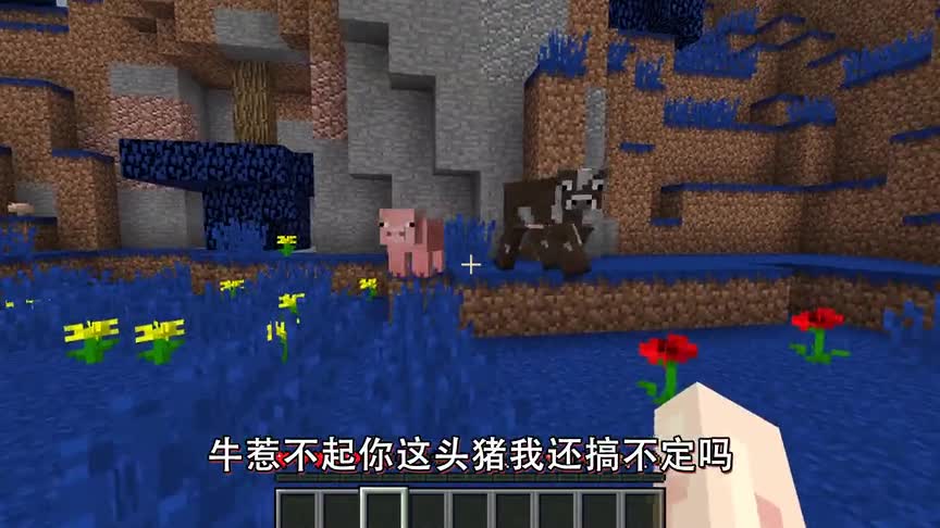 我的世界Mod：苦力怕的原型是猪？这个模组给各位很好的解释！