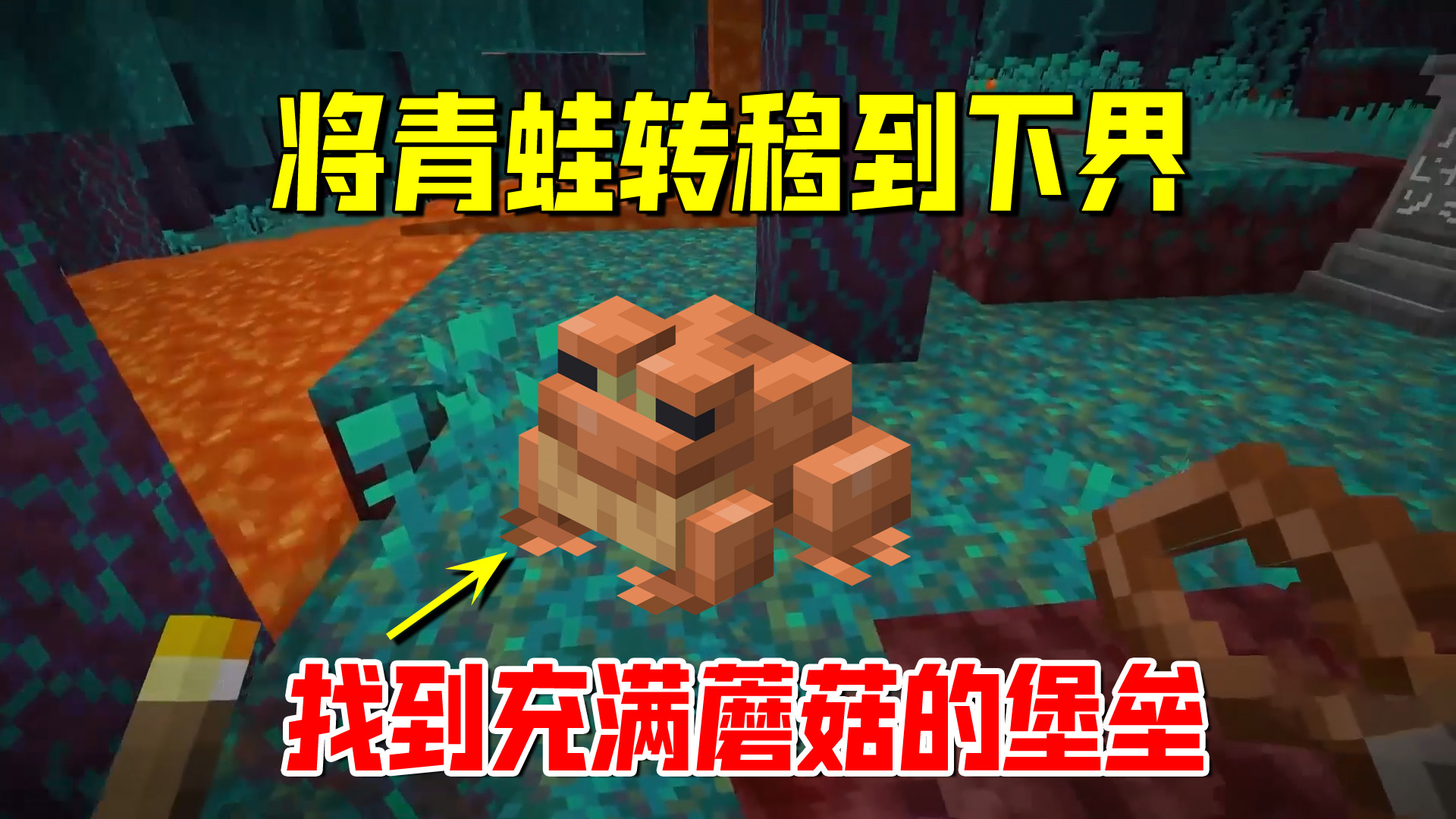 我的世界1.19联机81：将青蛙转移到下界，我找到充满蘑菇的堡垒#我的世界#沙盒游戏