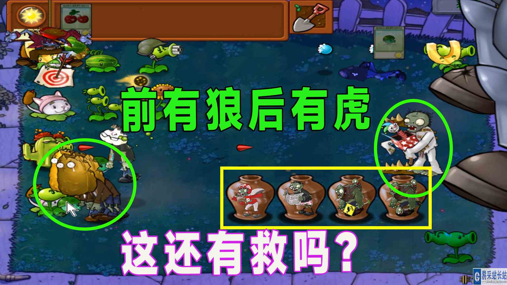 植物大战僵尸：功夫再高也怕菜刀，小老弟智商再好也没我运气好#植物大战僵尸