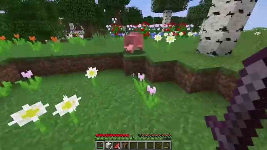 我的世界：小猪猪掉落稀有物资！64个钻石块可以当成石头用！