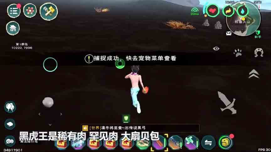 创造与魔法：日常亏金环节！我抓黑虎王就能抓到破产，你信不？